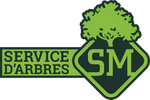 Service d’Arbres SM